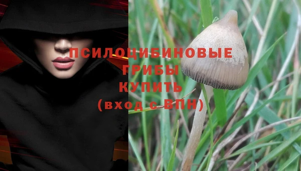 ECSTASY Абаза