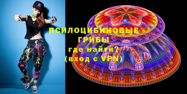 ECSTASY Лагань