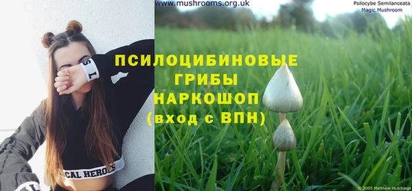 ECSTASY Абаза