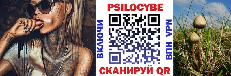 Галлюциногенные грибы прущие грибы  мориарти официальный сайт  Новокузнецк 